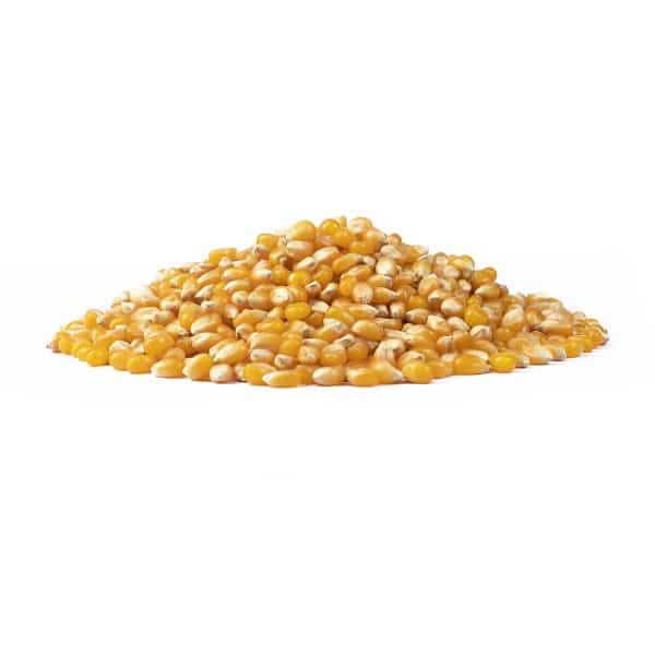 Maiz Pop Corn "Santis" x 1 kg